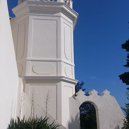 Villa-Chateau Les Terrasses - Tamaris, Plage Des Sablettes, Mer Au Bas De La Propriete La Seyne-sur-Mer Buitenkant foto