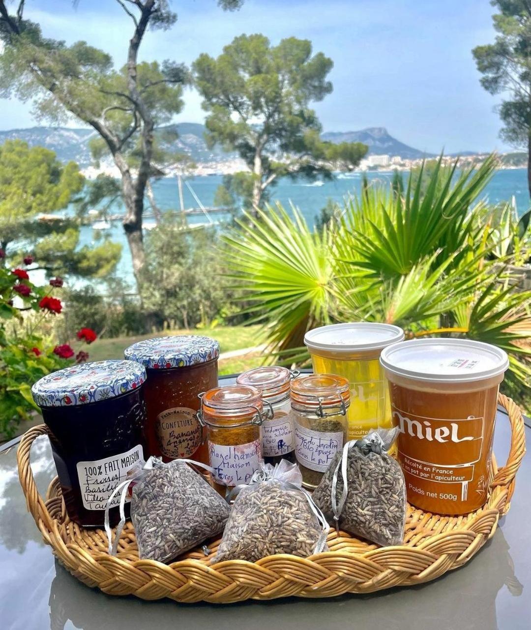 Villa-Chateau Les Terrasses - Tamaris, Plage Des Sablettes, Mer Au Bas De La Propriete La Seyne-sur-Mer Buitenkant foto
