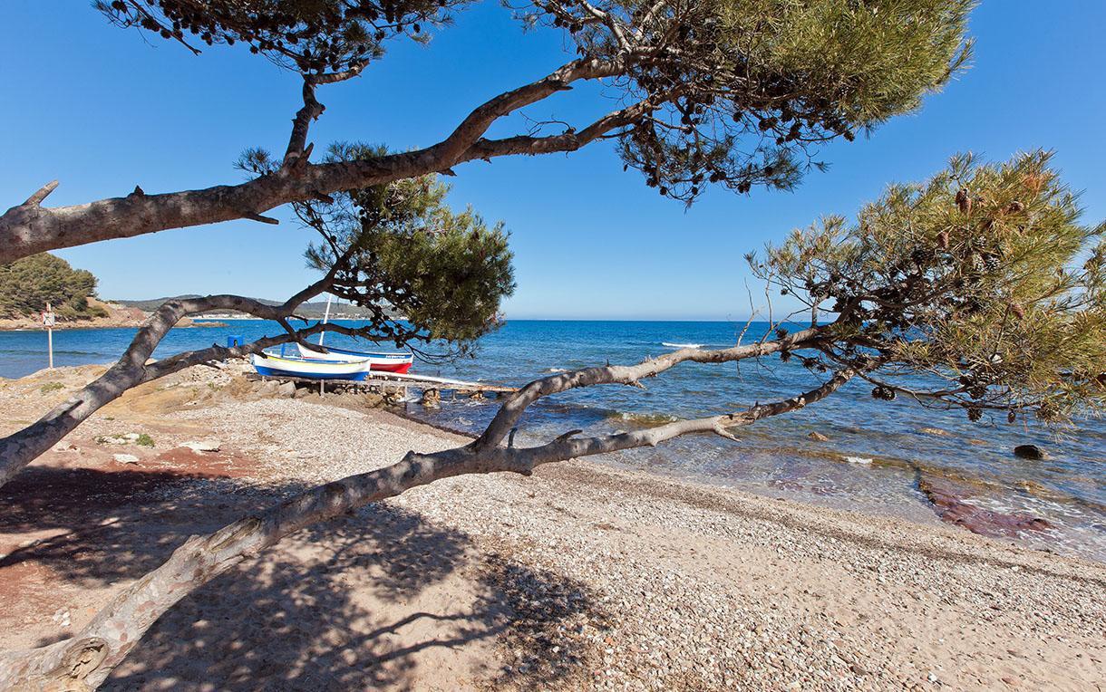 Villa-Chateau Les Terrasses - Tamaris, Plage Des Sablettes, Mer Au Bas De La Propriete La Seyne-sur-Mer Buitenkant foto